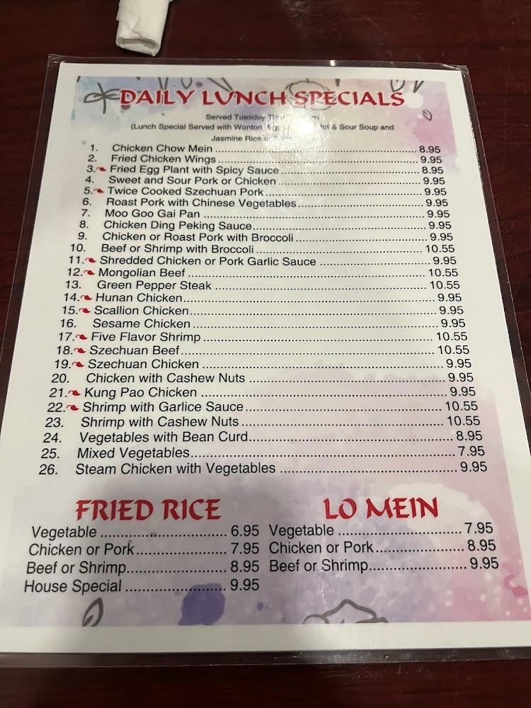 Szechuan Palace Menu image 1